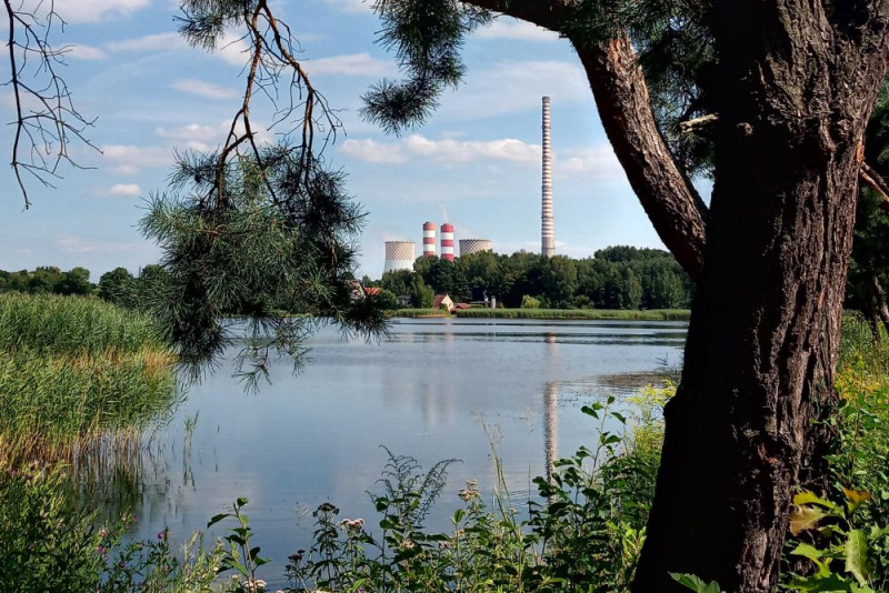 zdjęcie wyróżniające Przyrodnicy chcą cofnięcia pozwolenia budowlanego dla elektrowni gazowej w Rybniku